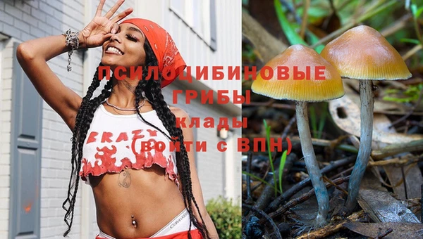 ECSTASY Богородск